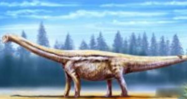 北方龙是什么龙 北方龙基本资料