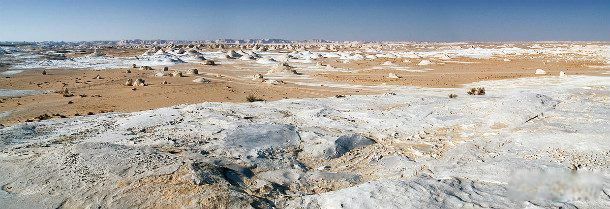 ������Ȼ��������Щ ��Ȼ�������Ƽ�����֮��