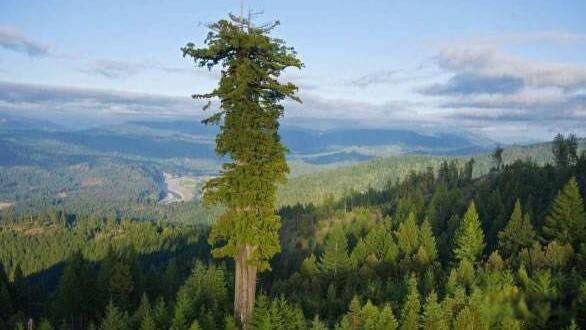 ��������ߵ�����������,��߿ɴ�156�� ����������֮һ