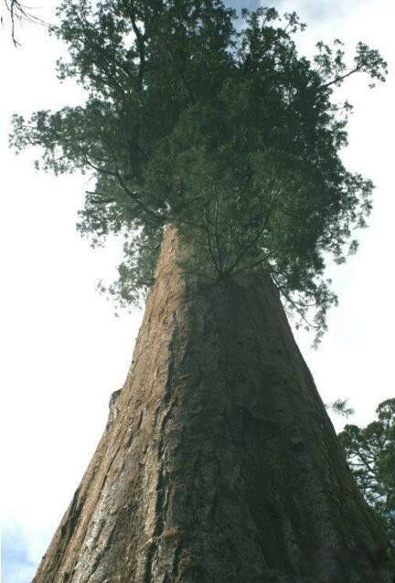 ��������ߵ�����������,��߿ɴ�156�� ����������֮һ