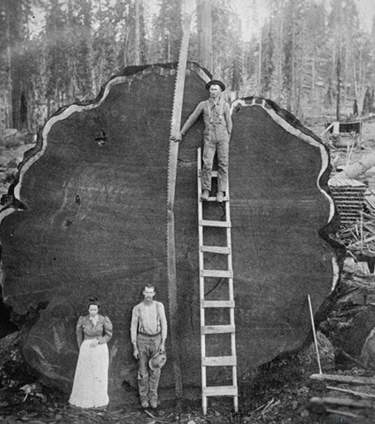 ��������ߵ�����������,��߿ɴ�156�� ����������֮һ