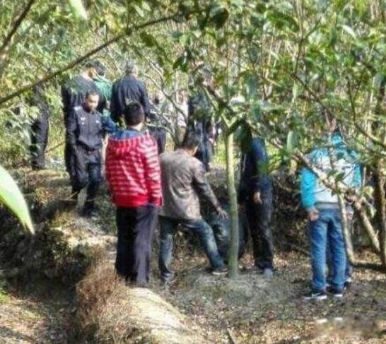 ��ʫ�������¼������ж�� ��ʫ�ܸ������ϼ��