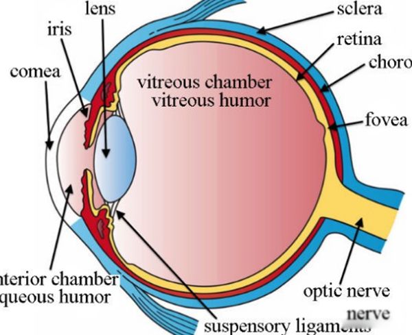 ����İ�������Щ ����15�󺱼�������ʲô