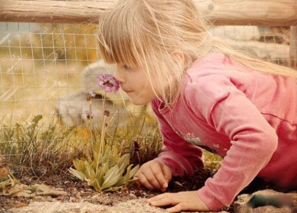 ����İ�������Щ ����15�󺱼�������ʲô