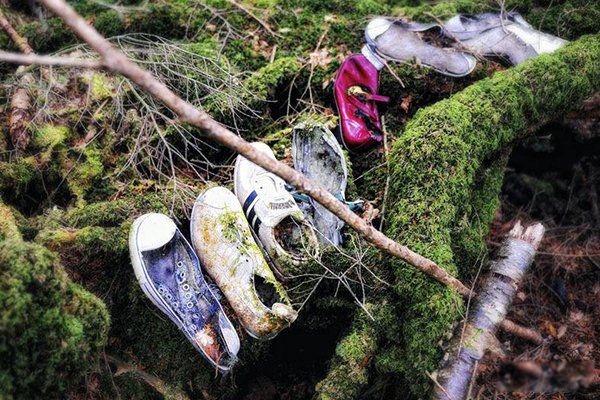 �����ߴ�ë���Ȼ���� �����ж�ŵ������ʲôԭ������¹ʵ�