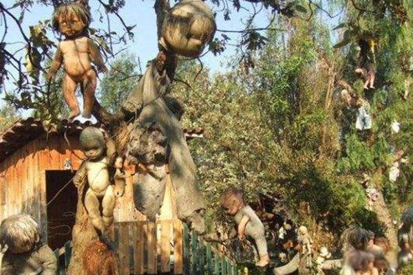 �����ߴ�ë���Ȼ���� �����ж�ŵ������ʲôԭ������¹ʵ�