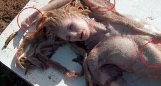 �����������Ƶ,��ʵ�� ������������������ͼƬ�ǳ�����