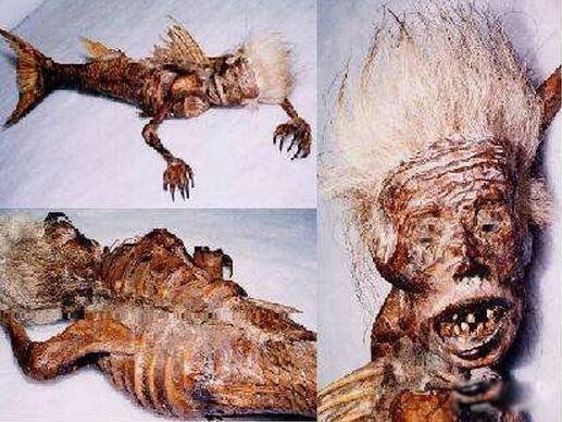 �����������Ƶ,��ʵ�� ������������������ͼƬ�ǳ�����