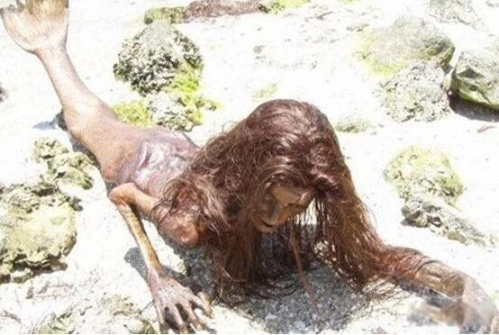 �����������Ƶ,��ʵ�� ������������������ͼƬ�ǳ�����