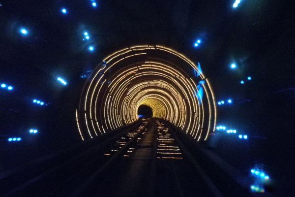 2008��Խ�¼�������� ��Խʱ����ʵ������������ʵ�¼���ʲô