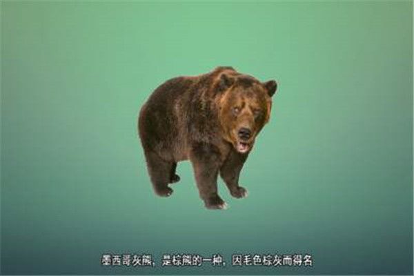 ī�������������� ī����������ԭ����ʲô