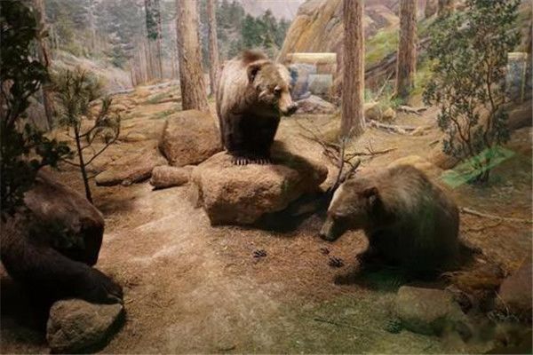 ī�������������� ī����������ԭ����ʲô