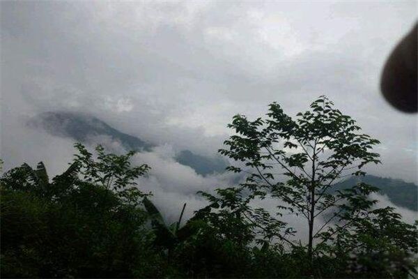 ����ɽ���������� ����������ɽ��Ĵ�����