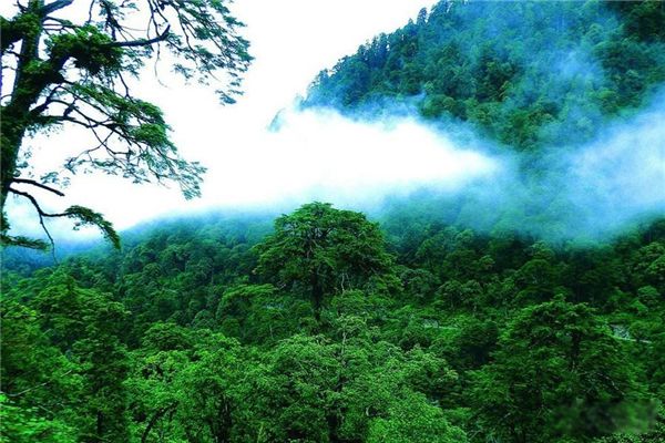 ����ɽ���������� ����������ɽ��Ĵ�����