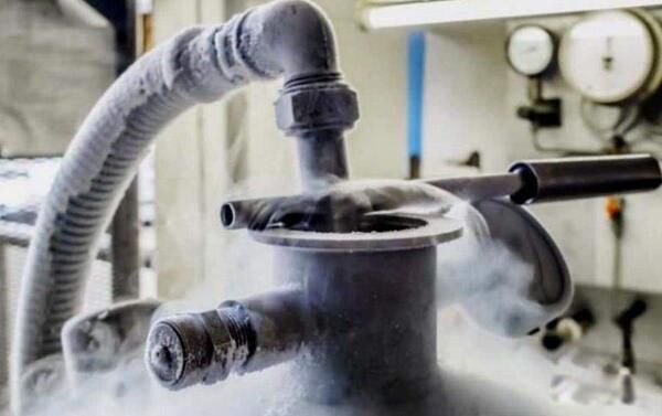 ��������δ����� ���᳡�𻯵�ȫ����,�����人�Ե�����ļٵ�