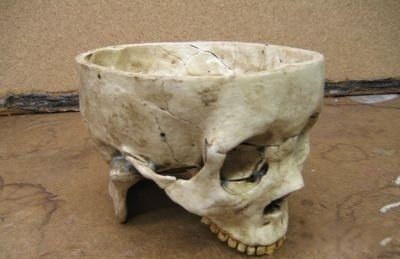 �����ڹѸ�����������ɭ������˹��˭ ��ɱ�˶�����