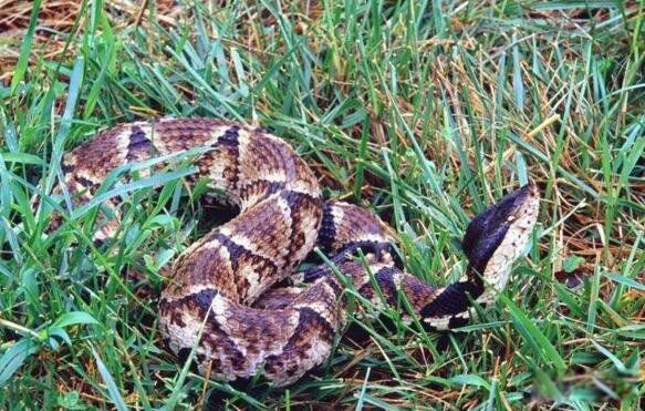 ���������岽���� �岽�߶����ж��