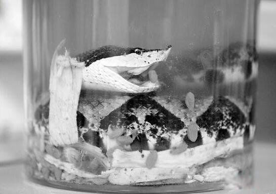 ���������岽���� �岽�߶����ж��