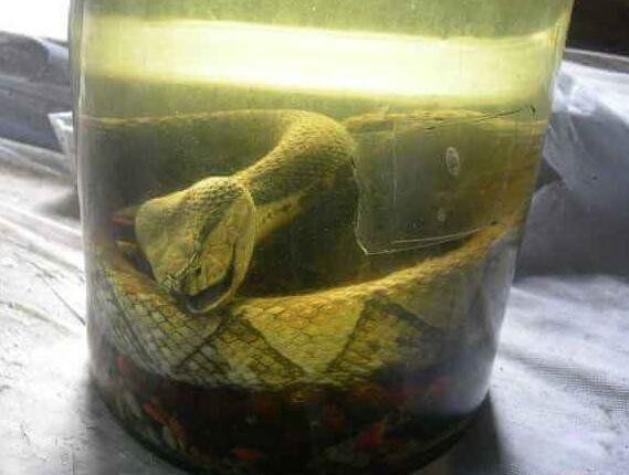 ���������岽���� �岽�߶����ж��