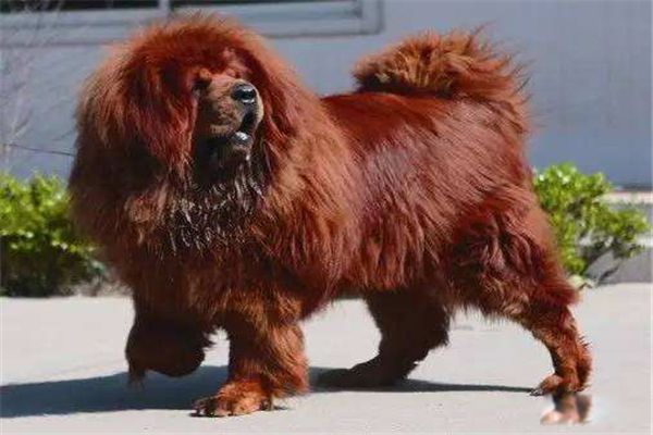 ȫ�����Ĳ�����ٹ����� ���������ص�ͼ۸�