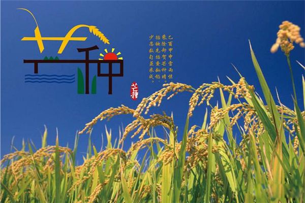 夏季的第三个节气是什么 芒种是几月几号