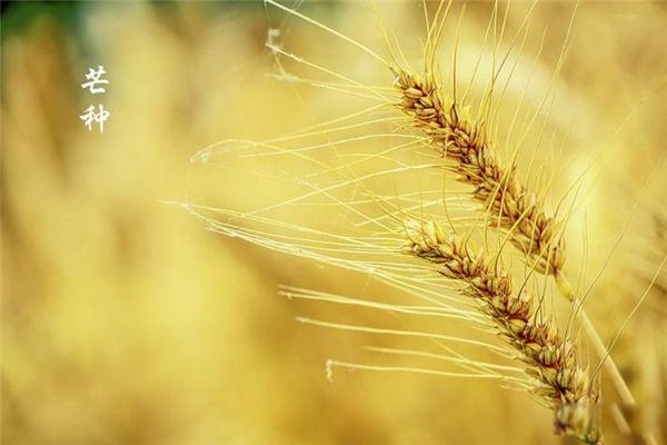 �ļ��ĵ�����������ʲô â���Ǽ��¼���