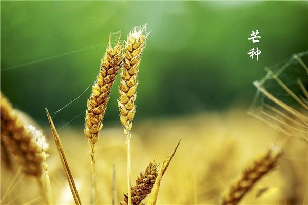 �ļ��ĵ�����������ʲô â���Ǽ��¼���