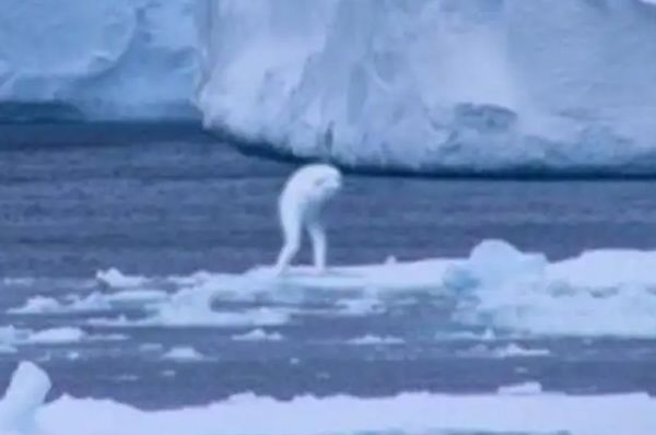 巨人有哪些种类 卫星拍到奥特曼石像是真的吗