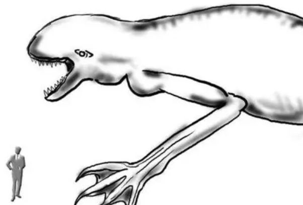 巨人有哪些种类 卫星拍到奥特曼石像是真的吗