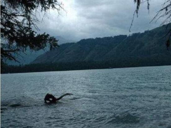 广东水怪的真实身份 广东水怪之谜的真相是什么