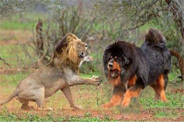 ȫ�����Ĳ�����ٹ����� ���������ص�ͼ۸�