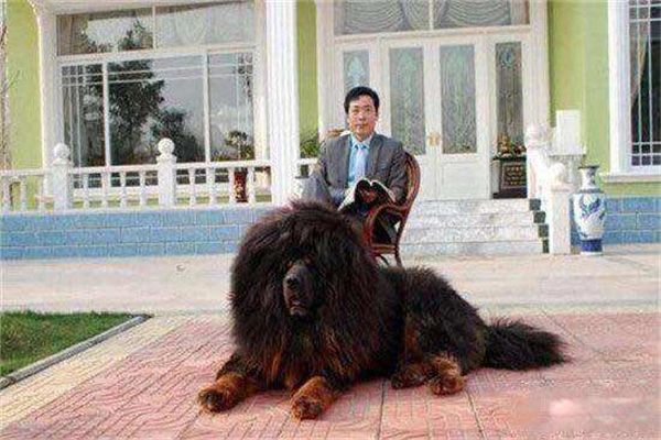 ȫ�����Ĳ�����ٹ����� ���������ص�ͼ۸�