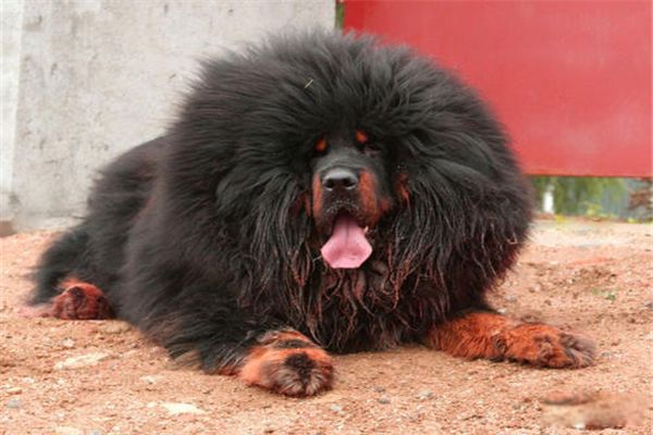 ȫ�����Ĳ�����ٹ����� ���������ص�ͼ۸�