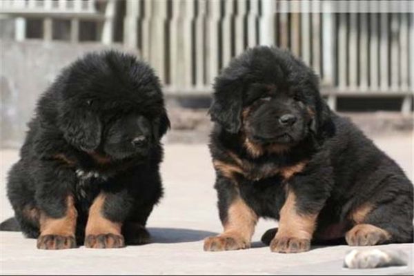 ȫ�����Ĳ�����ٹ����� ���������ص�ͼ۸�