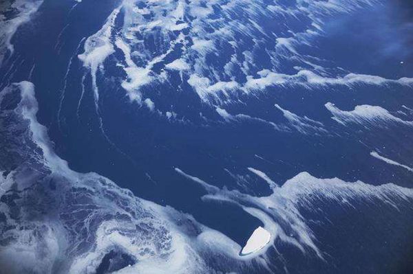 ����100����ʲô�����ж�ֲ� ��������ĵط����¶��ٶ�