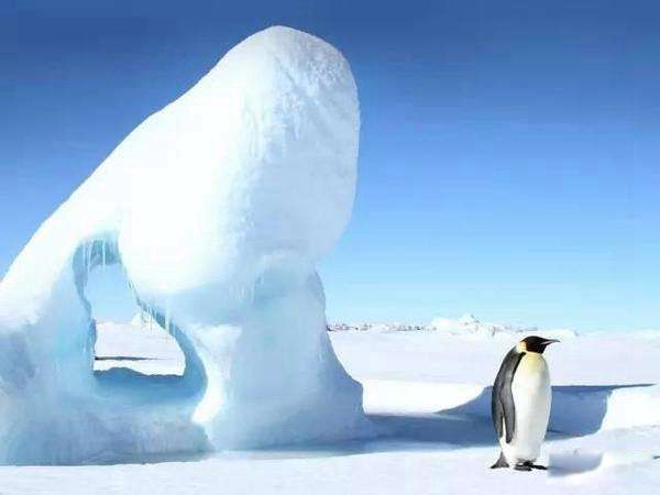 ����100����ʲô�����ж�ֲ� ��������ĵط����¶��ٶ�