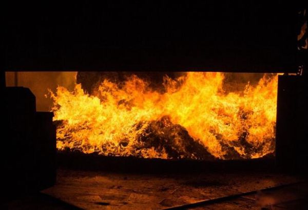 ����100����ʲô�����ж�ֲ� ��������ĵط����¶��ٶ�