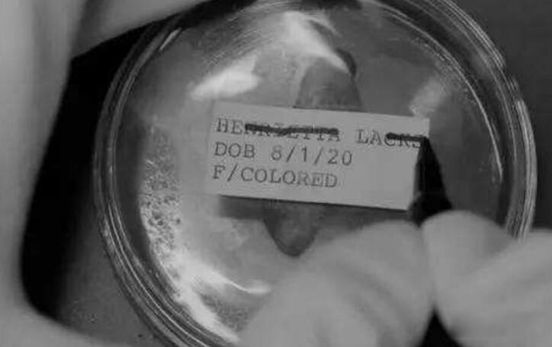 ����ϸ����ʲôϸ�� ��������5000����������