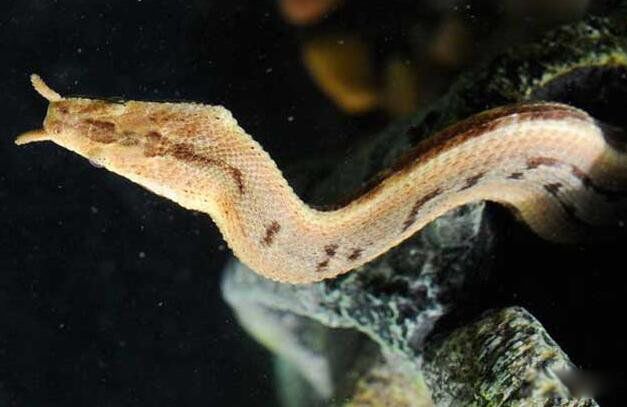 �������ж��� �����߳�ʲô����?�������0.001��