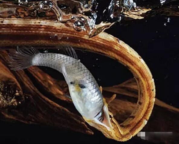 �������ж��� �����߳�ʲô����?�������0.001��