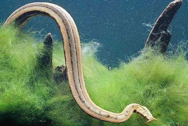 �������ж��� �����߳�ʲô����?�������0.001��