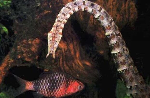 �������ж��� �����߳�ʲô����?�������0.001��