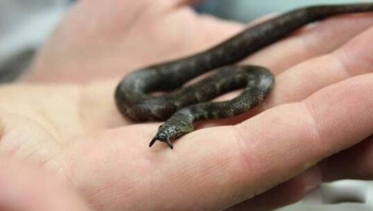 �������ж��� �����߳�ʲô����?�������0.001��