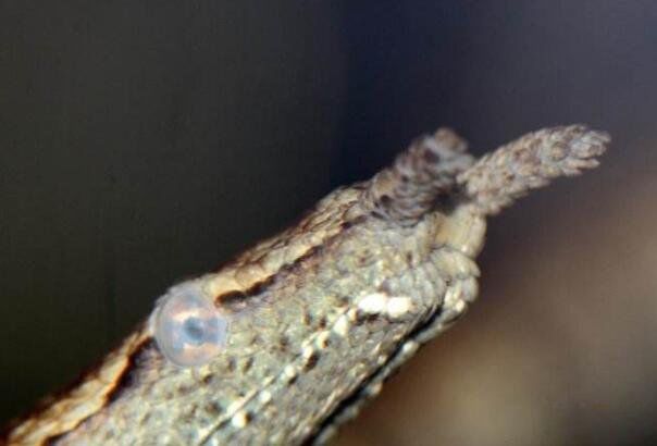 �������ж��� �����߳�ʲô����?�������0.001��