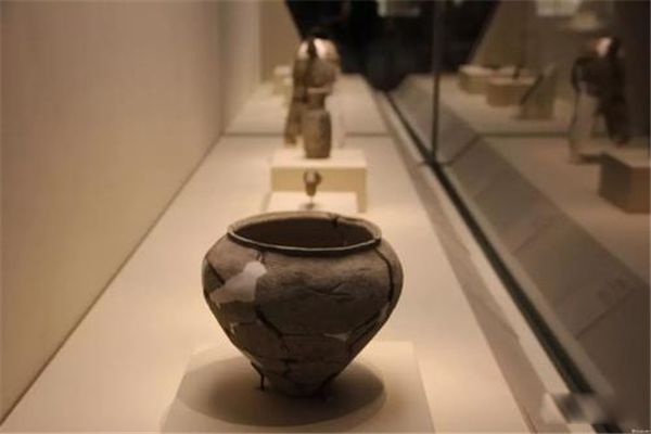 �й��˴��漣���İ˴��漣 ���ﳤ���ܳ��ȴﵽ��ǧ�߰ٹ���