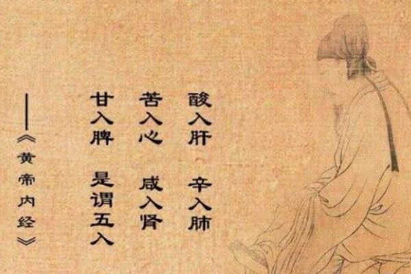 �Ƶ��ھ�������ʲô���� �Ƶ��ھ�Ϊʲô������㿴