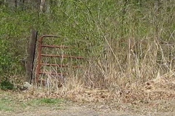 ʲô�ط����ҵ����ض��� 8�����������ʲô