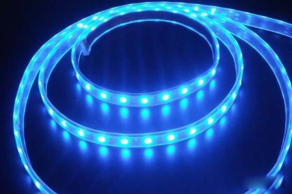 �̲�������ʲô��˼ ��Щ�������������