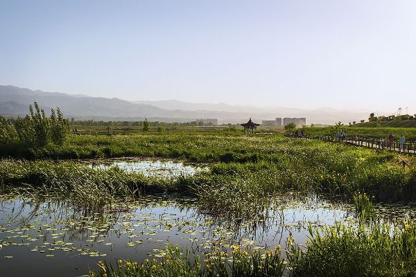 地球之肾和地球之肺指什么生态系统 两者的作用是什么