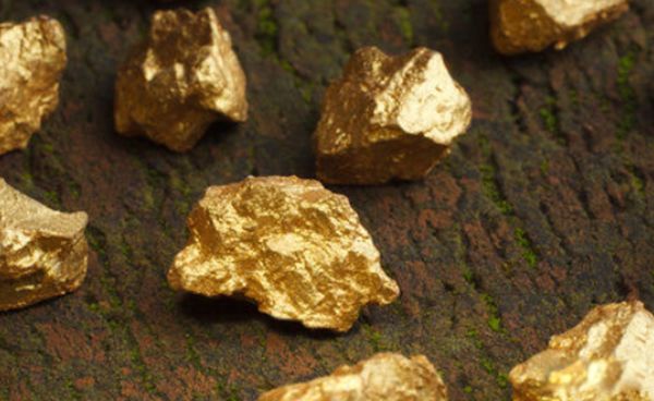 ϡ�н�������Щ 10��ϡ�н�������һ����